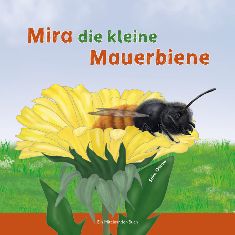 Auf dem Cover ist eine Mauerbiene zu sehen, die auf einer Löwenzahnblüte sitzt